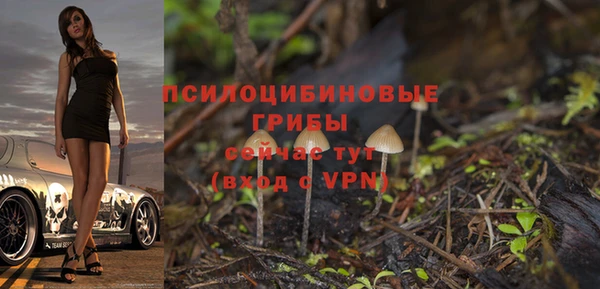 бутик Бородино